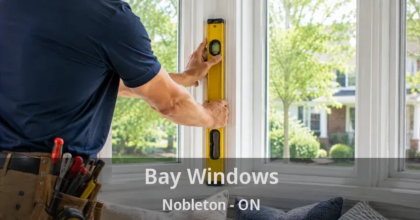Bay Windows Nobleton - ON