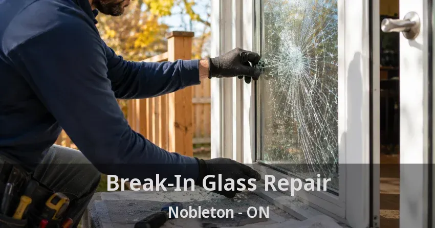 Break-In Glass Repair Nobleton - ON