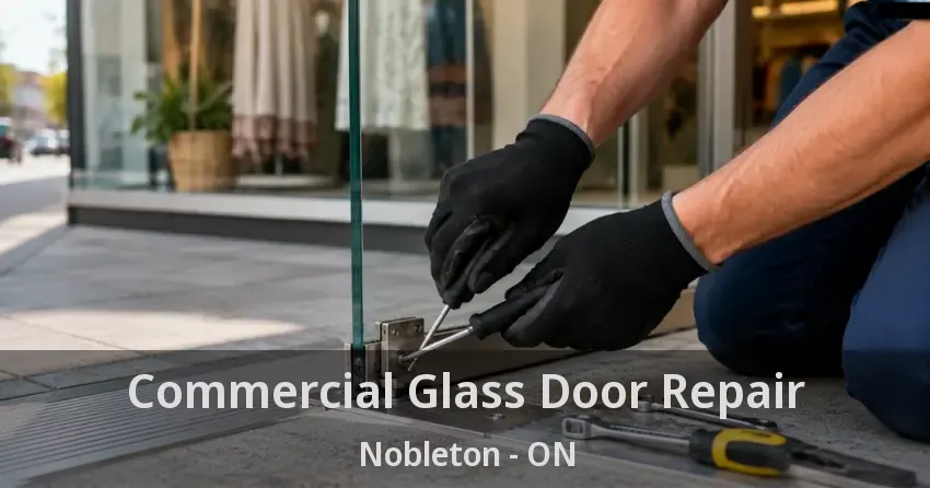 Commercial Glass Door Repair Nobleton - ON
