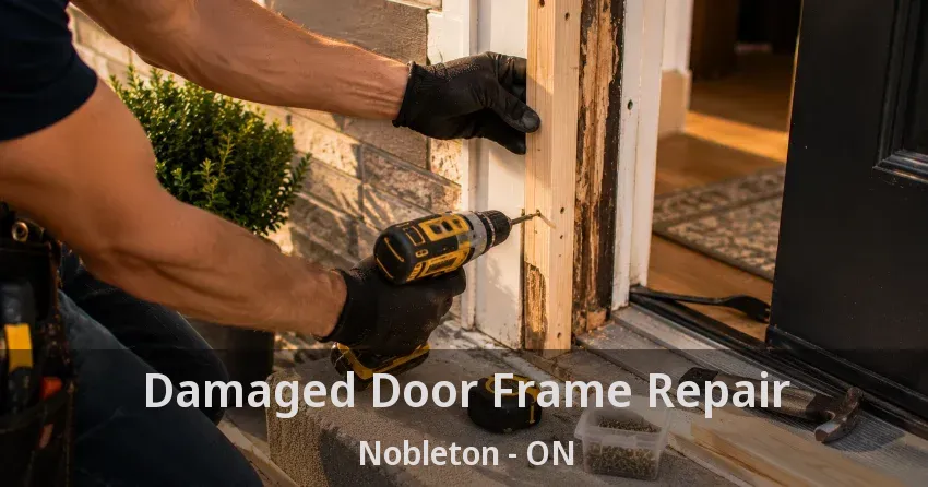 Damaged Door Frame Repair Nobleton - ON