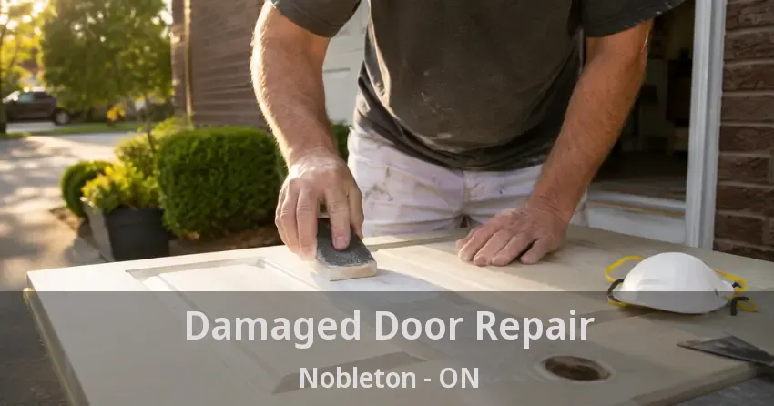 Damaged Door Repair Nobleton - ON
