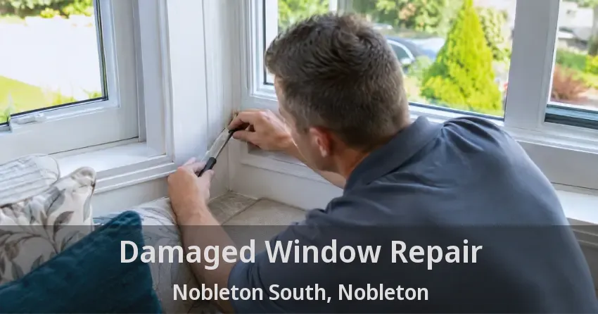 Damaged Window Repair Nobleton South, Nobleton - ON
