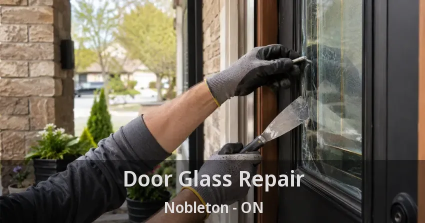 Door Glass Repair Nobleton - ON