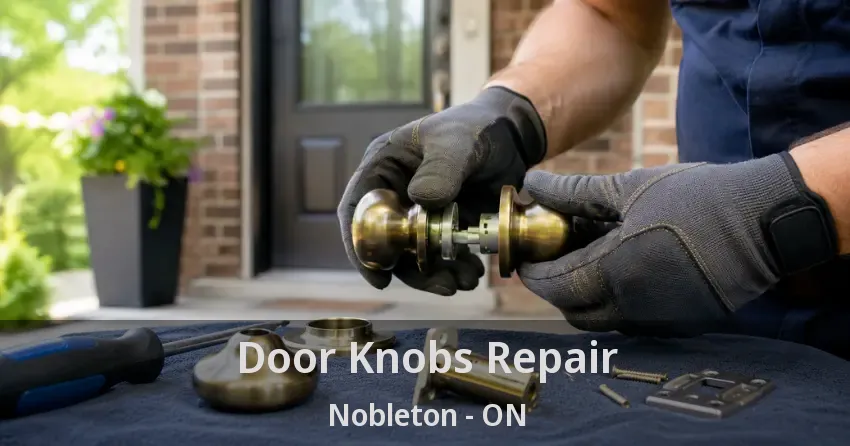 Door Knobs Repair Nobleton - ON