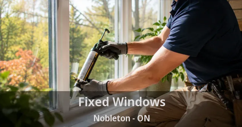 Fixed Windows Nobleton - ON