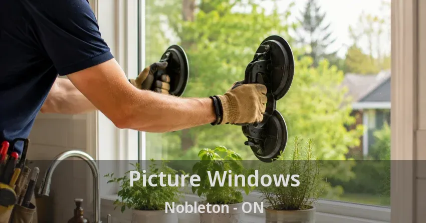 Picture Windows Nobleton - ON