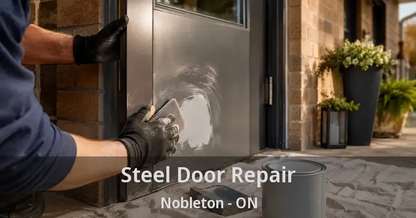 Steel Door Repair Nobleton - ON