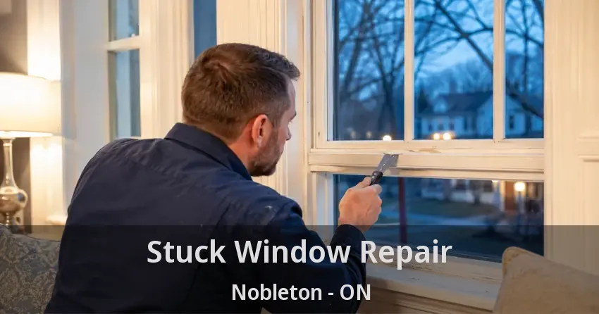 Stuck Window Repair Nobleton - ON
