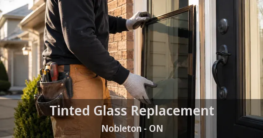 Tinted Glass Replacement Nobleton - ON