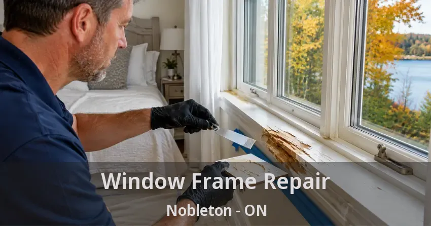 Window Frame Repair Nobleton - ON