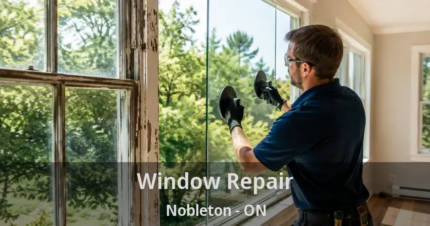 Window Repair Nobleton - ON