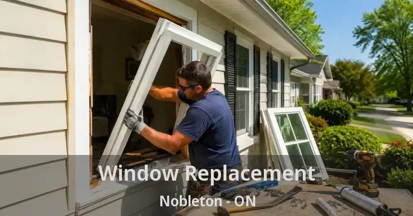 Window Replacement Nobleton - ON